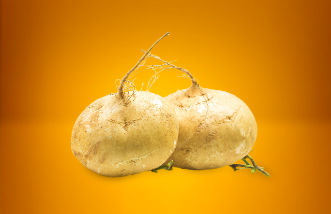 Jícama